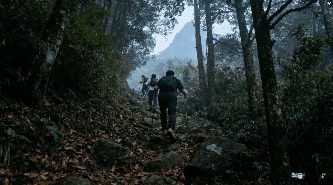 白鲸加速器下载安装流程全攻略分享